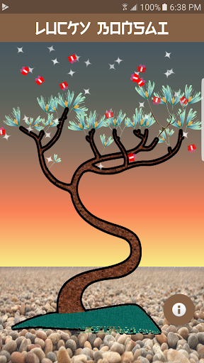 Lucky Bonsai Tree Screen 2