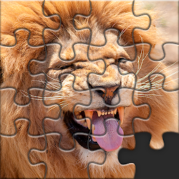 Icon image Puzzles for Adults no internet