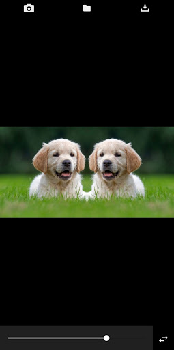 Mirror Image Screen 2