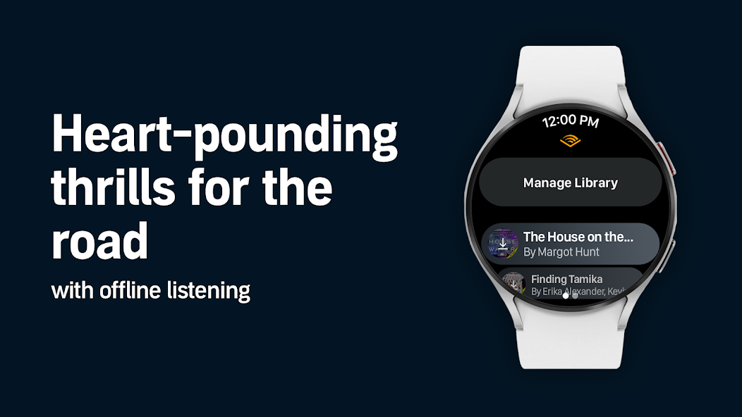 Audible: Audio Entertainment Display Captures 6