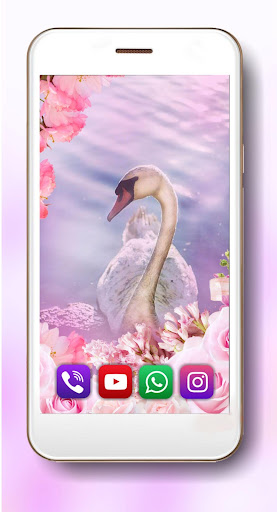 Pink Swans Live Wallpaper