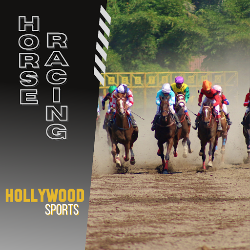 Hollywood Sports Always Live