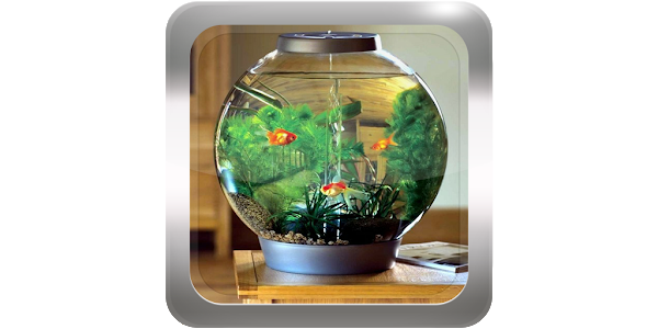 Idée décoration aquarium : est-il possible de personnaliser un aquarium ?