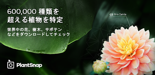 Plantsnap 植物 樹木 花の鑑定 Google Play のアプリ