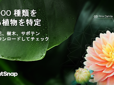 世界 一 珍しい 珍しい 花 の 名前 305741