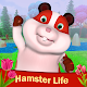 Hamster Life: Farm Town