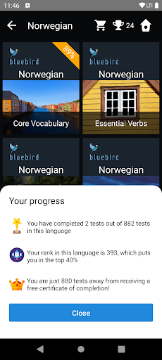 Norwegian Language Tests Screen 3