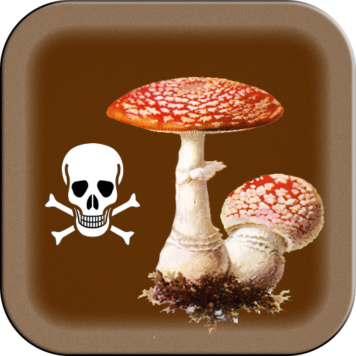 Poisonous Mushrooms  Icon