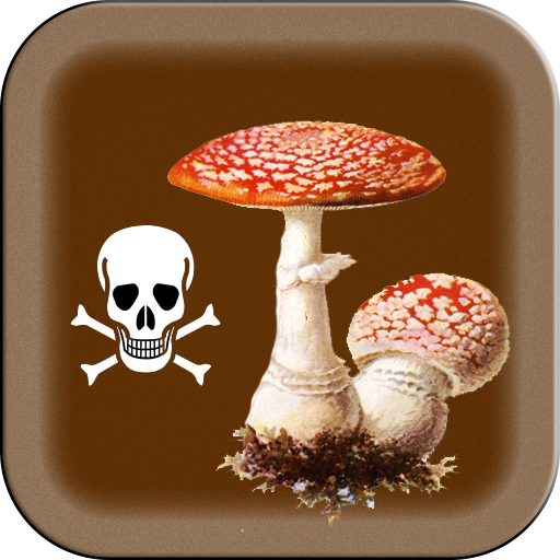 Poisonous Mushrooms for  Android – Latest Version & Features app icon