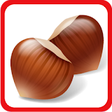 Kids Learning Nuts & Spices icon