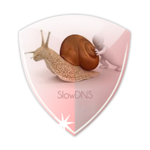 VPN Over DNS Tunnel : SlowDNS logo