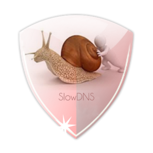 VPN Over DNS  Tunnel : SlowDNS 2.6.3 Icon