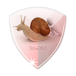 Cover Image of ダウンロード VPN over DNSトンネル：SlowDNS  APK