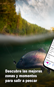 WeFish | Tu App de Pesca