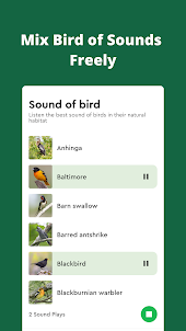 Sound of Bird: Natural Habitat