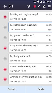 Voice recording pro Screenshot