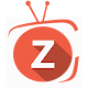 Zigi STB Download on Windows