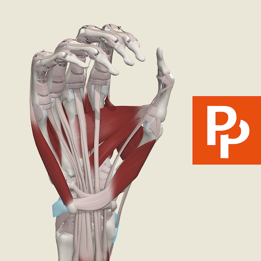 Primal's Functional Anatomy Download on Windows
