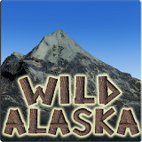 WILD ALASKA SLOT MACHINE icon