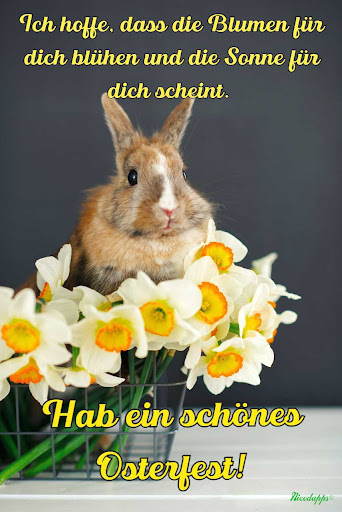 Frohe Ostern Wünsche Screen 2