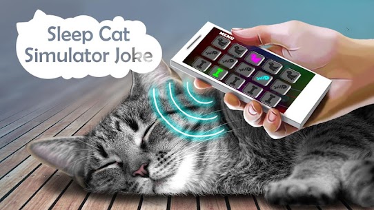 Sleep Cat Simulator Joke For PC installation