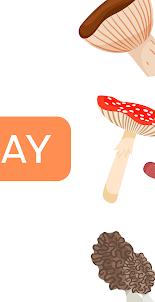 Pick Mushrooms