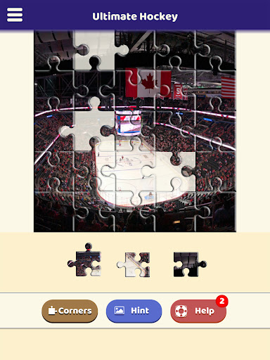 Ultimate Hockey Puzzle