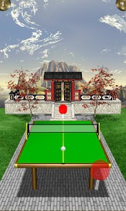 Zen Table Tennis Lite For PC installation