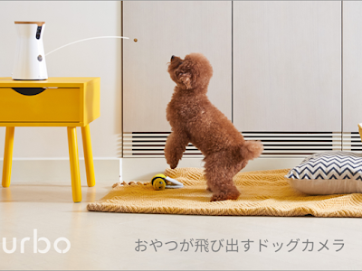 √100以上 犬 お留守番 カメラ アプリ 338542