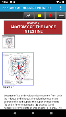 Zollinger Atlas of Surgery 11Eのおすすめ画像4