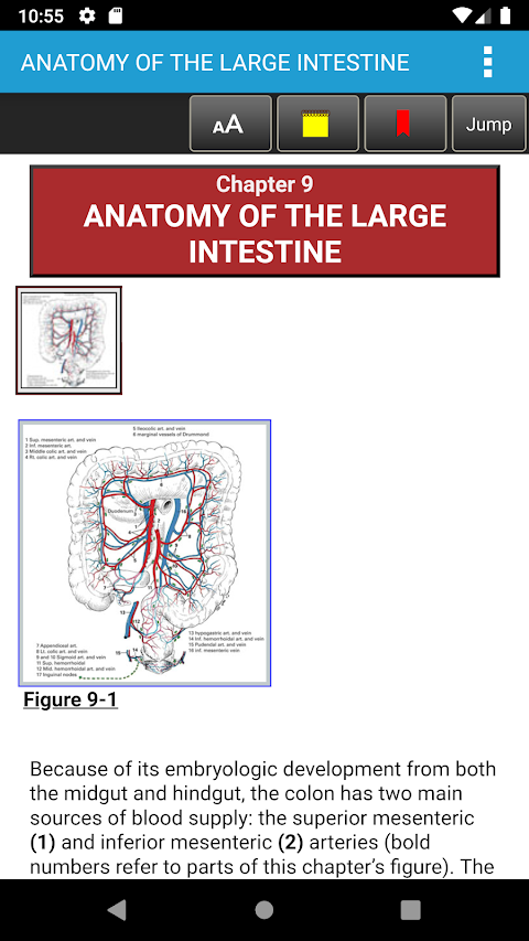 Zollinger Atlas of Surgery 11Eのおすすめ画像4