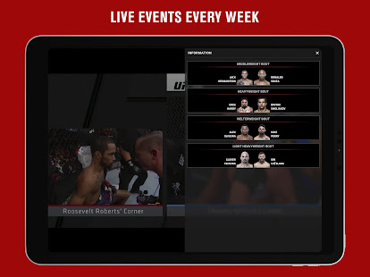 UFC  Screenshots 8