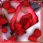 Top 50 Personalization Apps Like Red Roses Petals Live Wallpaper - Best Alternatives