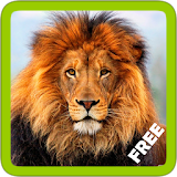 Animal Sounds with Photos FREE icon