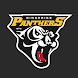 Ringerike Panthers - Androidアプリ