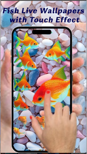4D Koi Fish Wallpaper