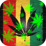 Marijuana Live Wallpaper icon