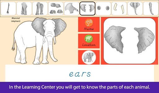Parts of Animals (Vertebrates) Screen 2