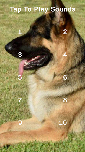 German Shepherd Sounds Screen 2