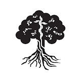 Tree Of Life Wellness Center icon