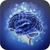 Brain Training: Touch in Order icon