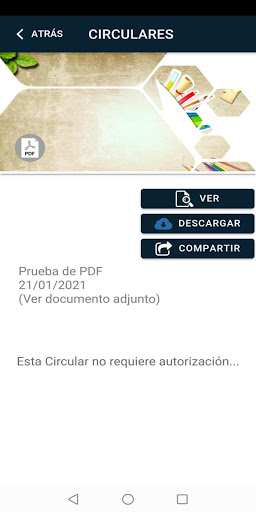 Sociedad Protectora del Niño Screen 3