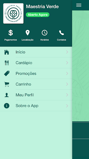 Maestria Verde Screen 2