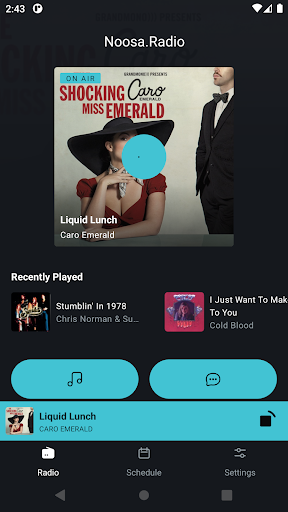 Android application Noosa.Radio screenshort