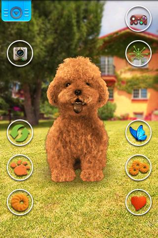Android application Talking Teddy Dog screenshort
