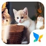 Lovely cat 91 Launcher Theme icon