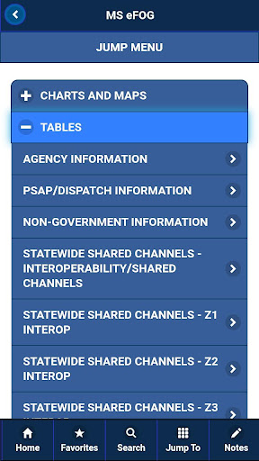MS eFOG Screen 3