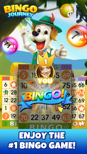 bingo journey free cash