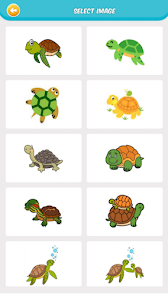 Turtles Coloring