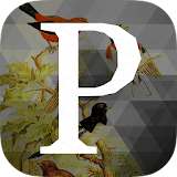 Perch Project icon
